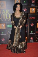 Divya Dutta at The Renault Star Guild Awards Ceremony in NSCI, Mumbai on 16th Jan 2014